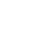 show business show business