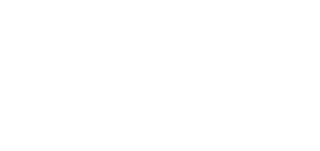 Ayesha Zangaro